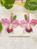 Pink Orchid