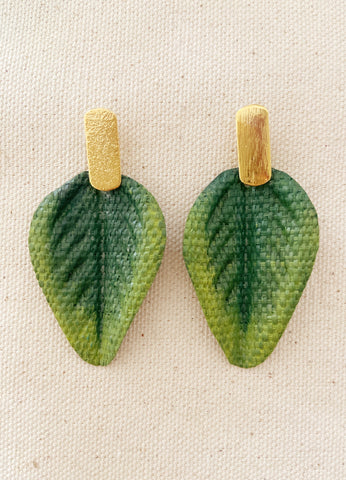 Green Coffee Leaf Earring
