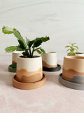 3 Inch Tapered Round Stone Planter with Plate
